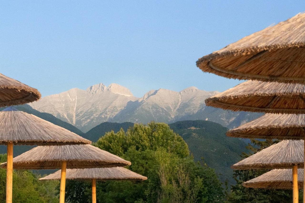 Olympios Zeus Hotel Plaka Litochorou Buitenkant foto