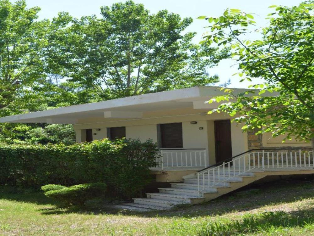 Olympios Zeus Hotel Plaka Litochorou Buitenkant foto
